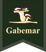 Blog - Gabemar