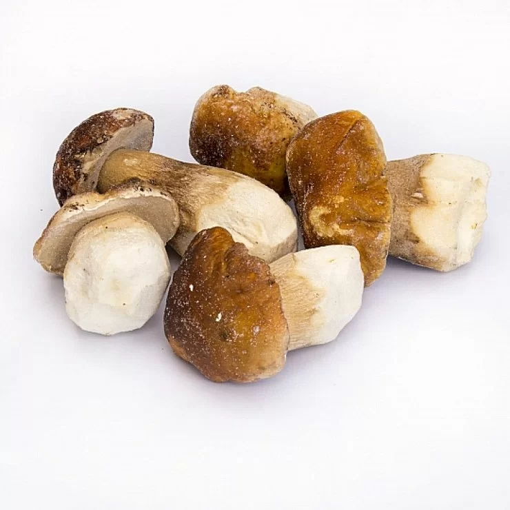 boletus edulis ultracongelado